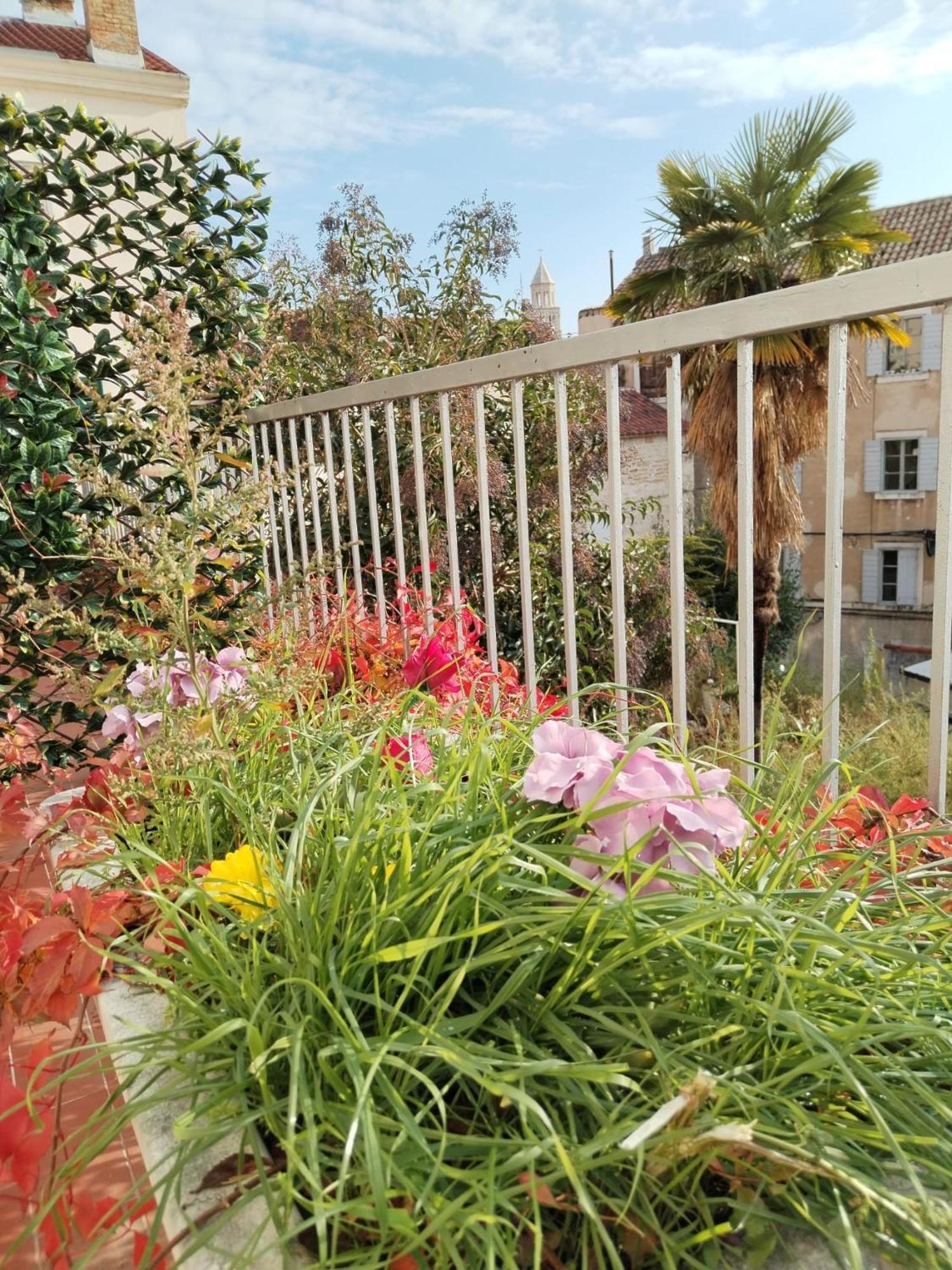 Leilighet Sunny Terrace